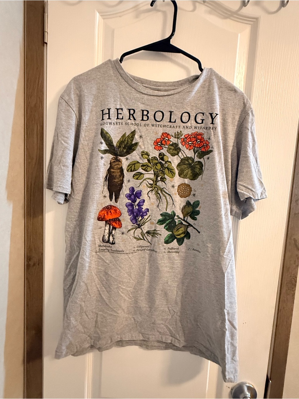 Harry Potter Herbology Botanical Graphic Tee - Grey Short Sleeve Shirt